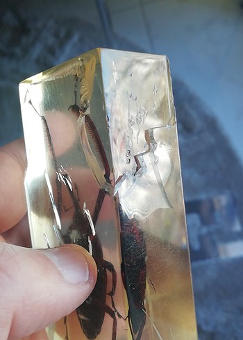 Deney ve koleksiyon için - Görsel 4