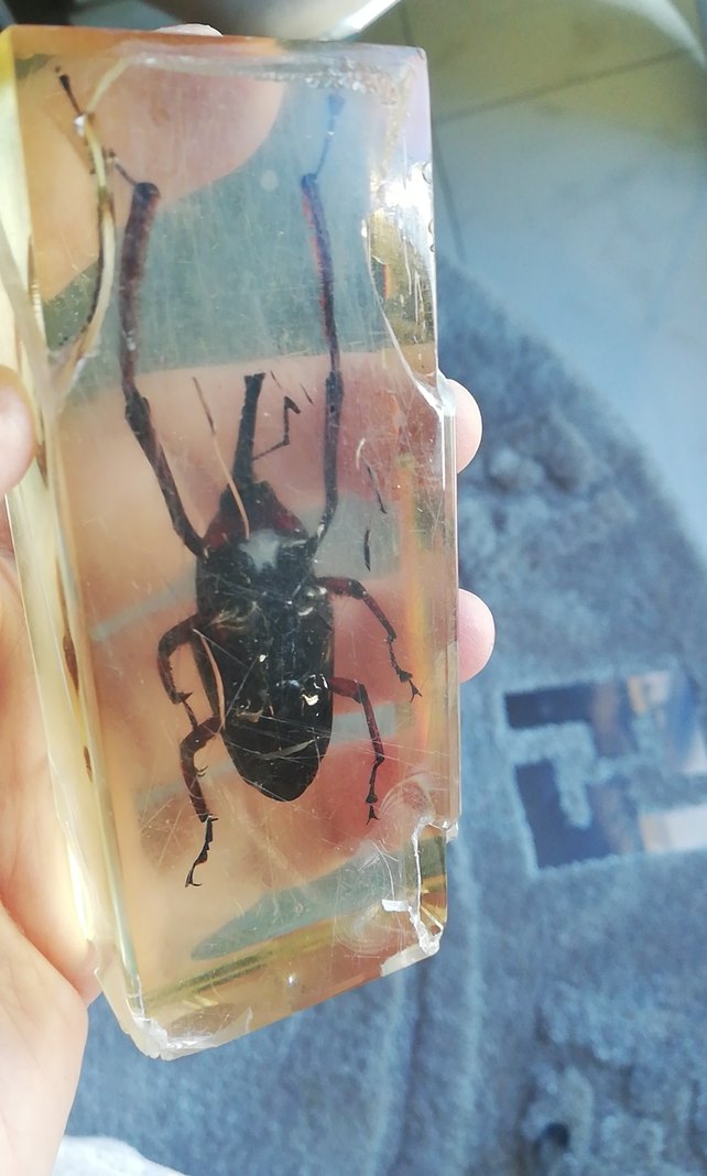 Deney ve koleksiyon için - Görsel 5