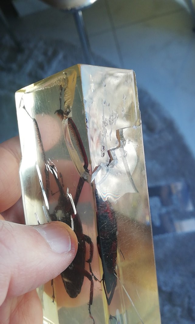 Deney ve koleksiyon için - Görsel 4