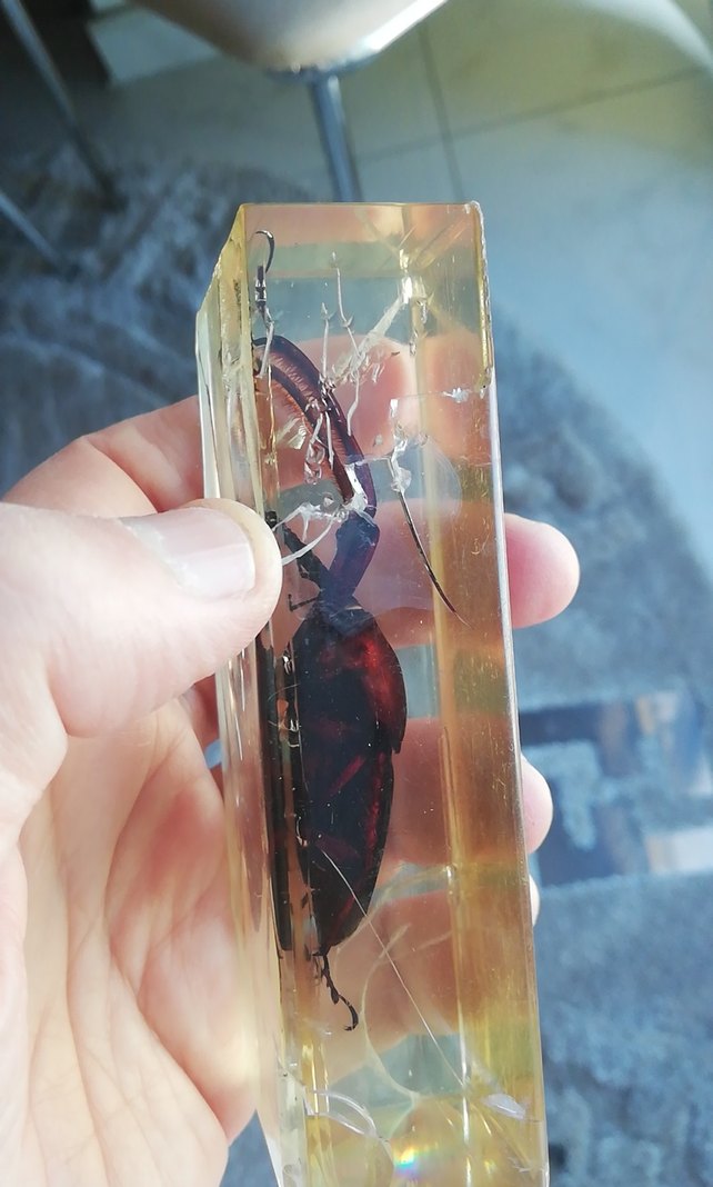 Deney ve koleksiyon için - Görsel 2