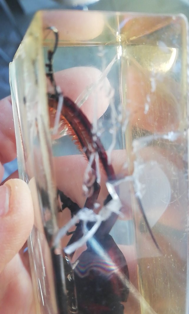 Deney ve koleksiyon için - Görsel 3