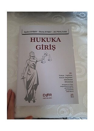 Rona aybay hukuka giriş 