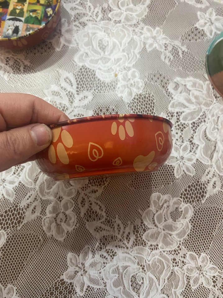 Renkli Kedi Desenli Mama Kabı - Görsel 2