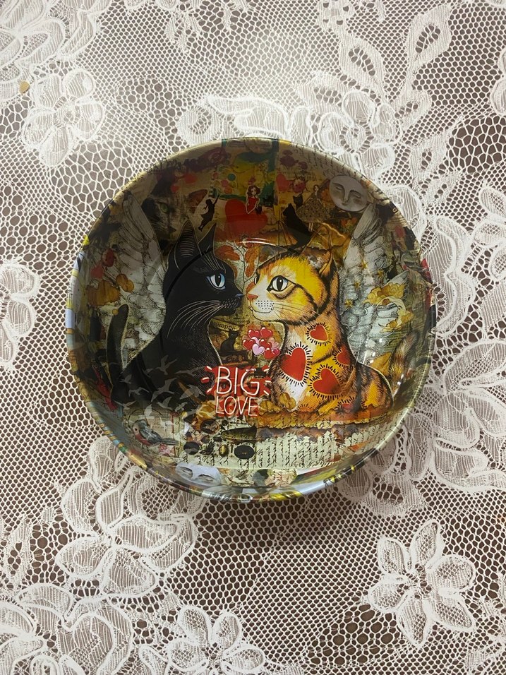 Renkli Kedi Desenli Mama Kabı Seti - Görsel 5