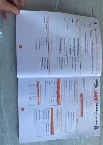 11. Sınıf Tekrar Testleri Seti 1 ve 2 - Görsel 11