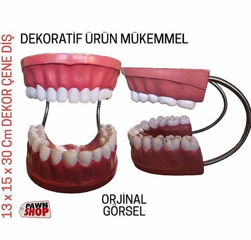 DENTAL DEV ÇENE DIŞ DEKOR TASARIM 13 x 15 x 30 Cm SEKTÖREL DEKOR
