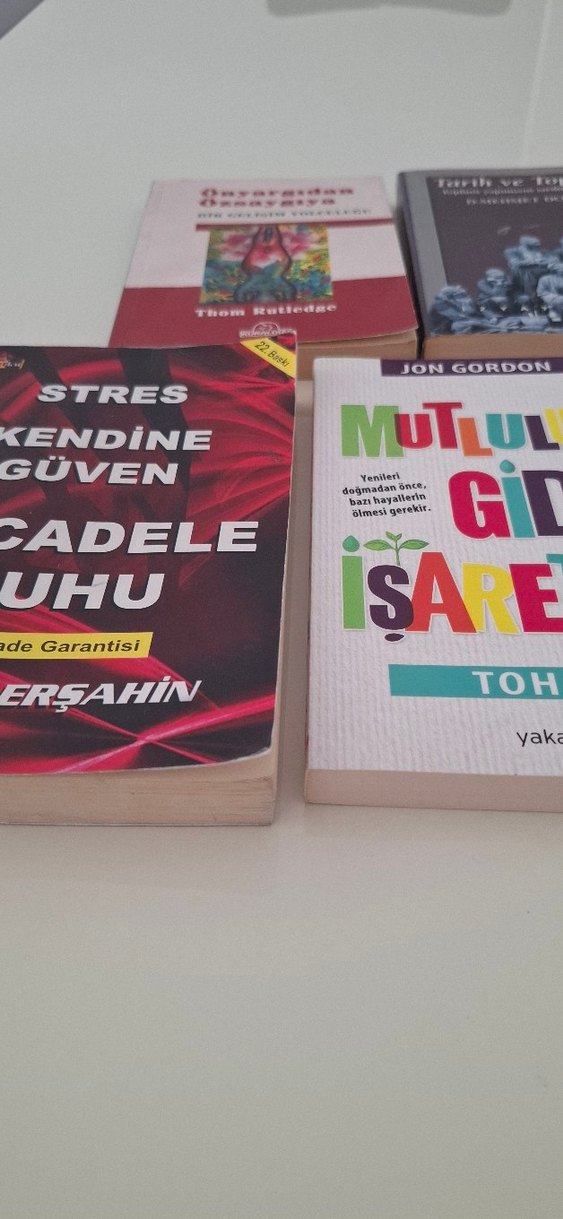 Kişisel Gelişim ve Toplum Kitapları - Görsel 2