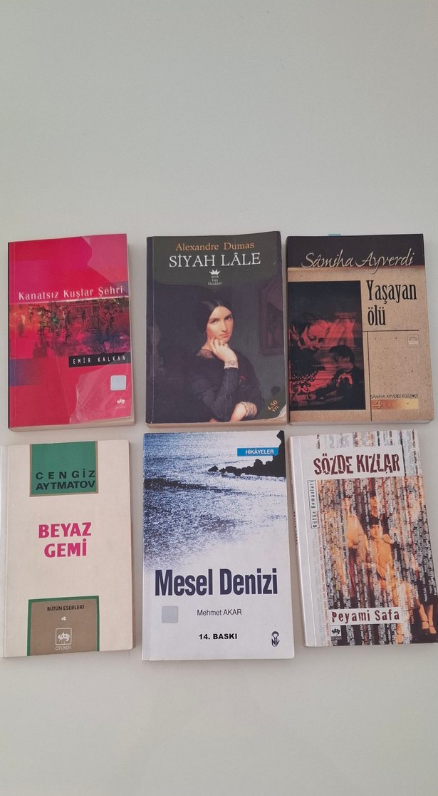 Çeşitli Edebiyat Kitapları Seti - Görsel 3