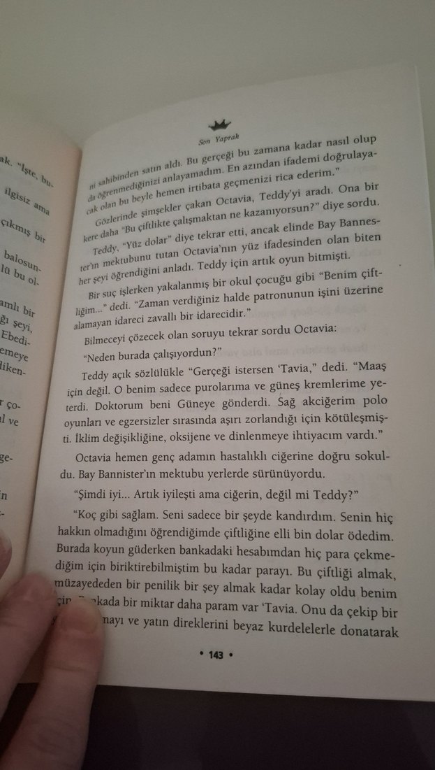 O. Henry - Son Yaprak Romanı - Görsel 2