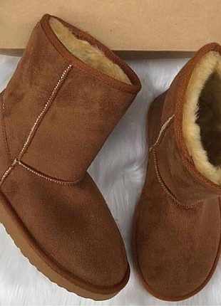 Diğer Ugg bot