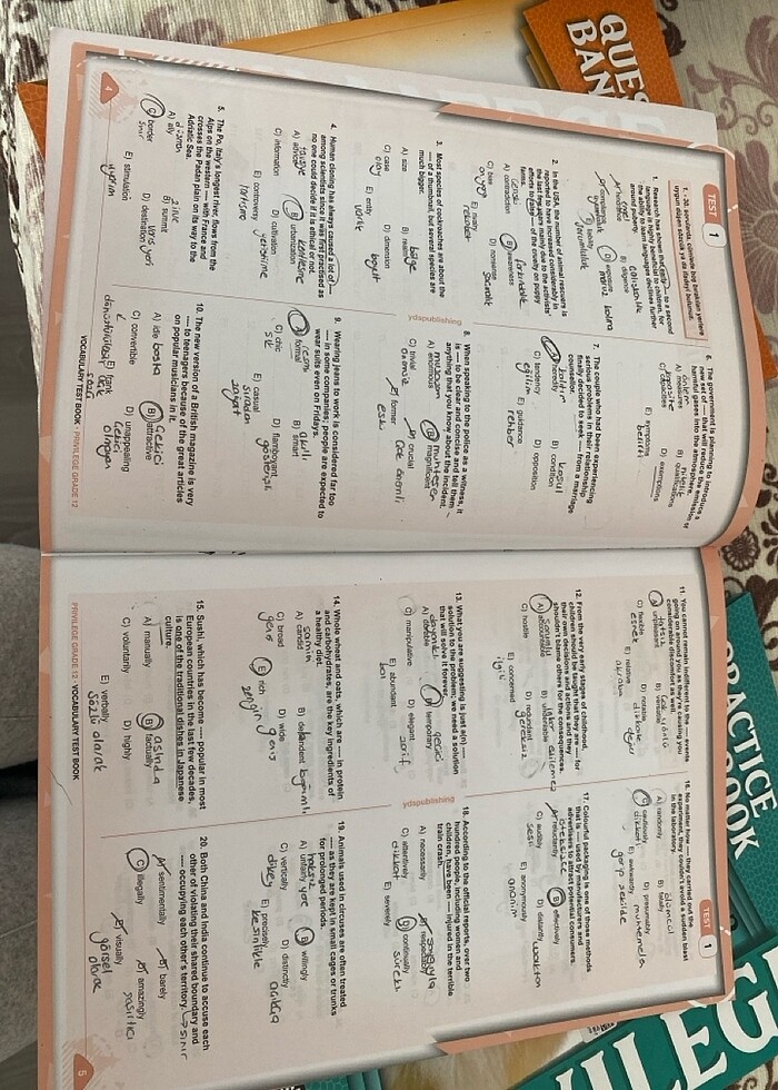 Privilege 12. Sınıf - Görsel 4