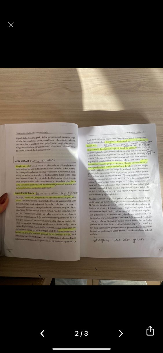 Üstün Zekâlılar Özellikleri ve Eğitimleri Kitabı - Görsel 2