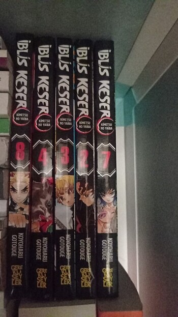 Demon slayer (iblis keser) mamga