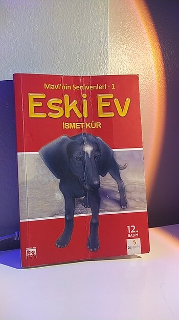 Eski ev 1