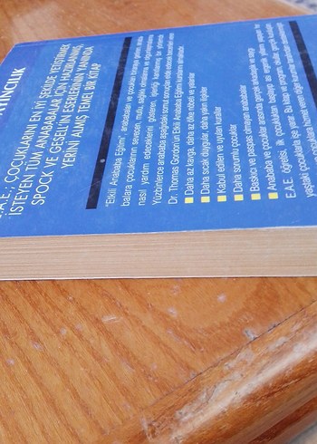 E.A.E. Etkili Anababa Eğitimi Kitabı - Görsel 3