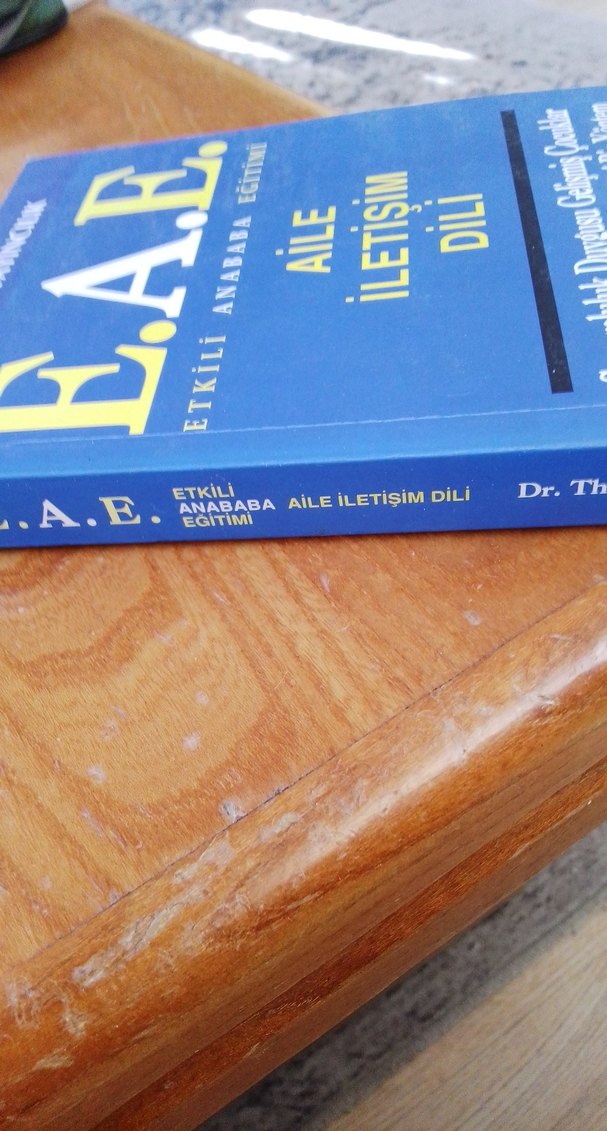 E.A.E. Etkili Anababa Eğitimi Kitabı - Görsel 2