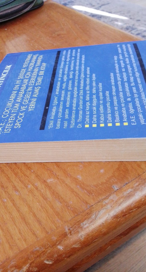 E.A.E. Etkili Anababa Eğitimi Kitabı - Görsel 3