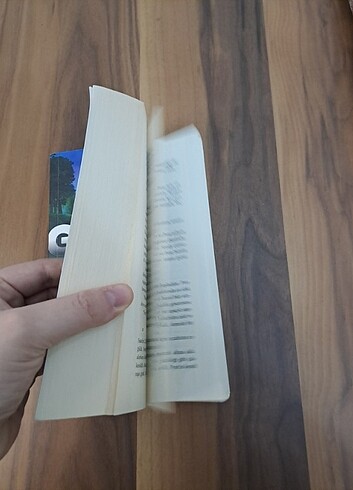  Beden Renk Goblin-josh malerman
