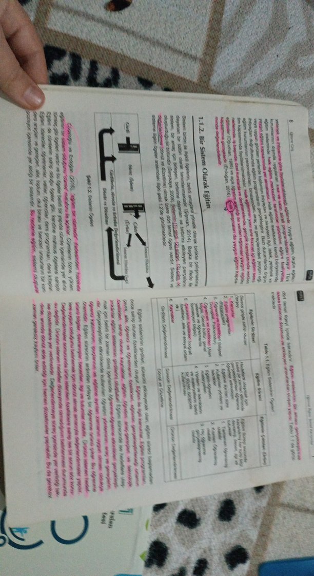 Eğitime Giriş - Prof. Dr. Ali Arslan - Görsel 2