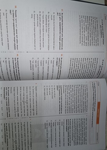 Türkçe Deneme - Görsel 3