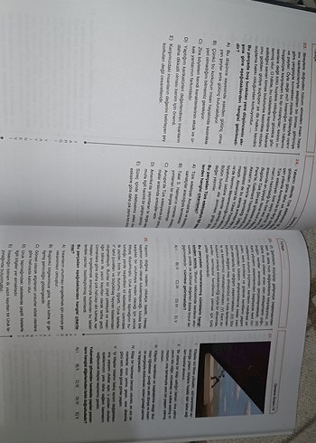 Türkçe Deneme - Görsel 2