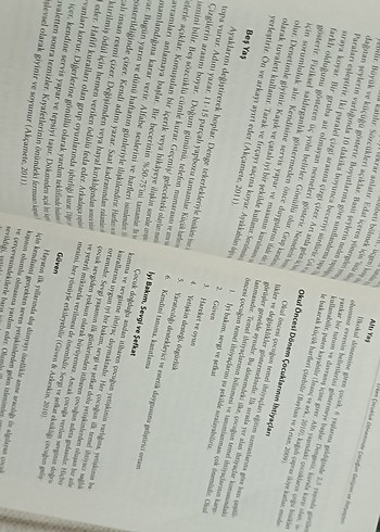 Erken Çocukluk Eğitimine Giriş Kitabı - Görsel 3