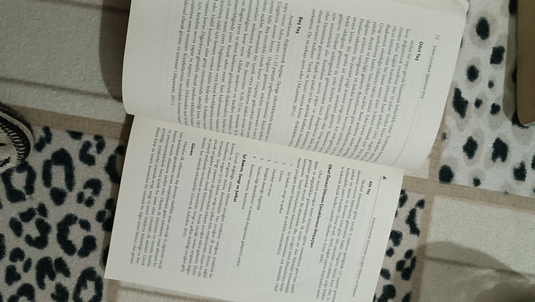 Erken Çocukluk Eğitimine Giriş Kitabı - Görsel 3