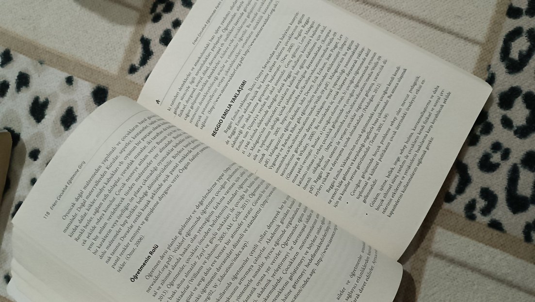 Erken Çocukluk Eğitimine Giriş Kitabı - Görsel 5
