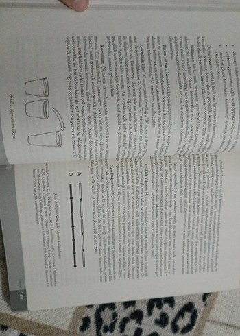 Erken Çocuklukta Matematik Eğitimi Kitabı - Görsel 4