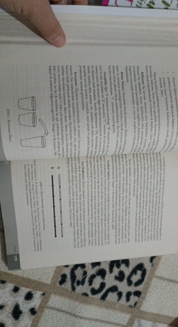 Erken Çocuklukta Matematik Eğitimi Kitabı - Görsel 4