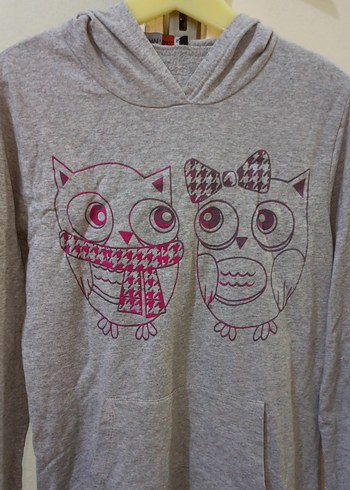 Gri Kapüşonlu Uzun Kollu Kadın Sweatshirt - Görsel 2