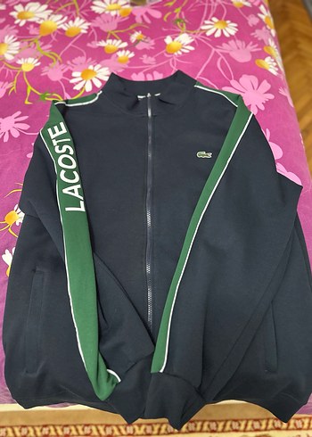 Lacoste xxl