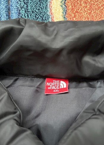 Siyah The North Face Erkek Yelek - Görsel 2