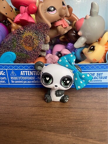G7 nadir panda miniş
