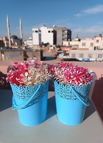 İki adet mavi çiçekli sepet çiçekler bahçe/ balkon dekorasyonu i