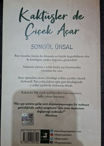 Kaktüsler de Çiçek Açar - Songül Ünsal - Görsel 2