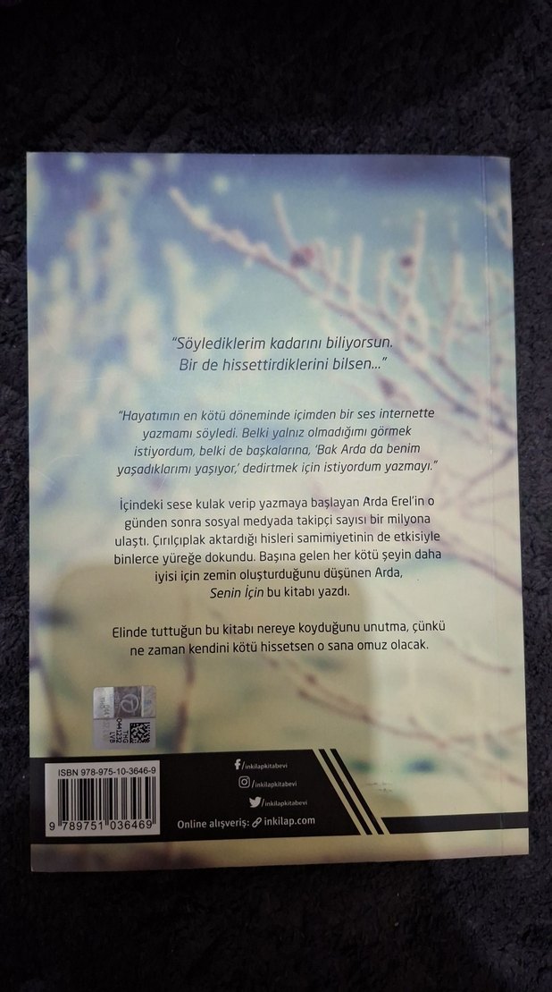 Senin İçin - Arda Erel - Görsel 2