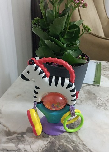 Renkli Zebra Diş Kaşıyıcı ve Çıngırak Oyuncak - Görsel 2