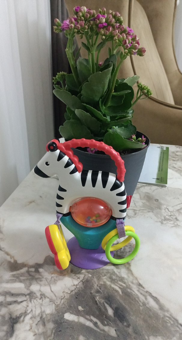 Renkli Zebra Diş Kaşıyıcı ve Çıngırak Oyuncak - Görsel 2