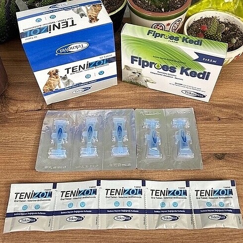 Kedi 5 iç parazit 5 dış parazit