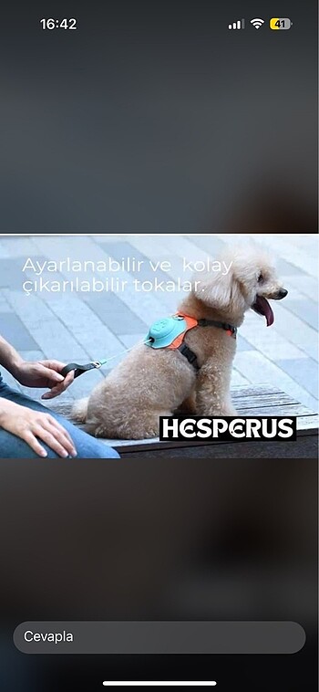 En iyi kalite Köpek tasması(kediler için de uygundur)