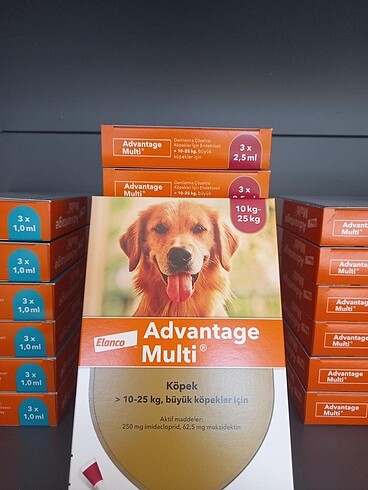 Köpek iç dış parazit