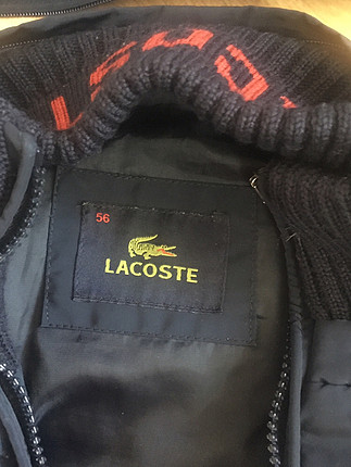 Lacoste mont