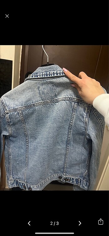 Pull and Bear KOT CEKET