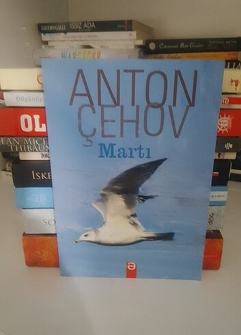 Martı 