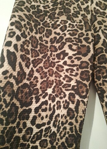 Leopar Tayt! - Görsel 2