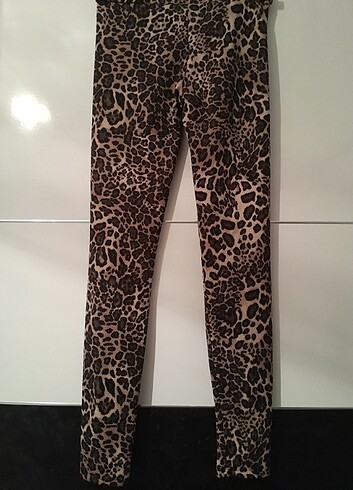 Leopar Tayt! - Görsel 4