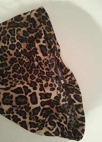 Leopar Tayt! - Görsel 6