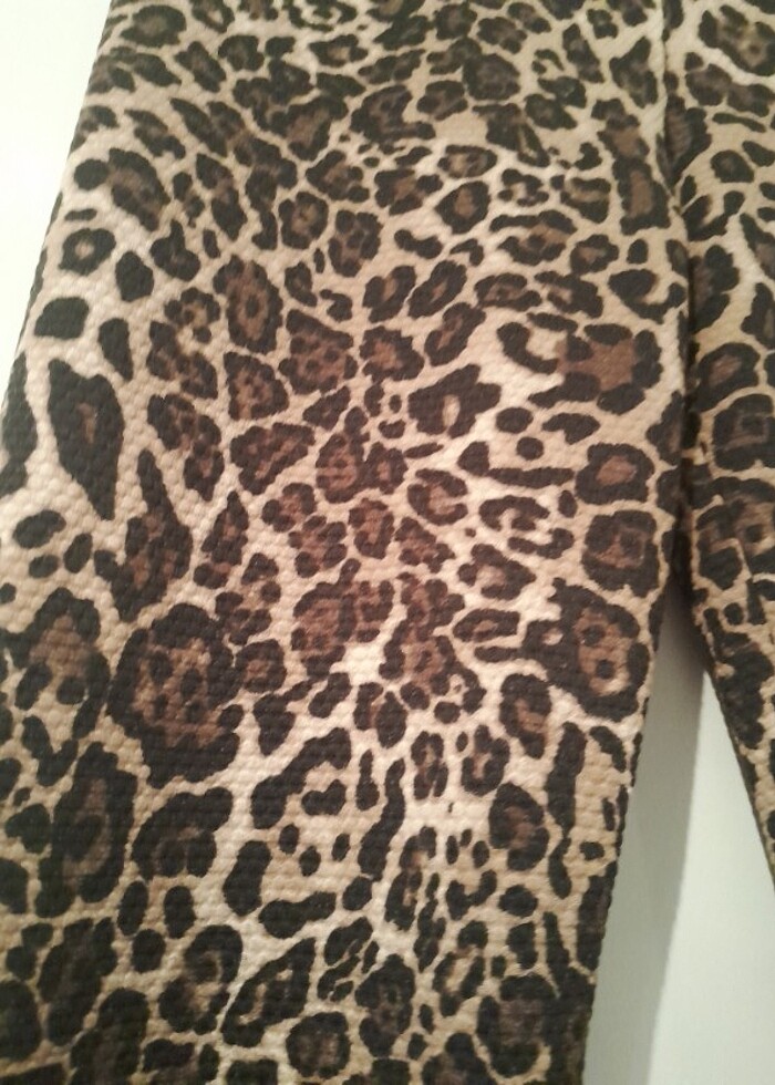 Leopar Tayt! - Görsel 2