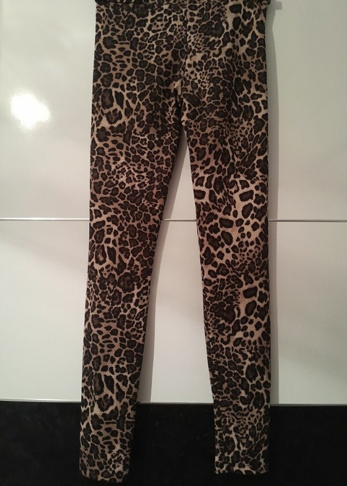 Leopar Tayt! - Görsel 4